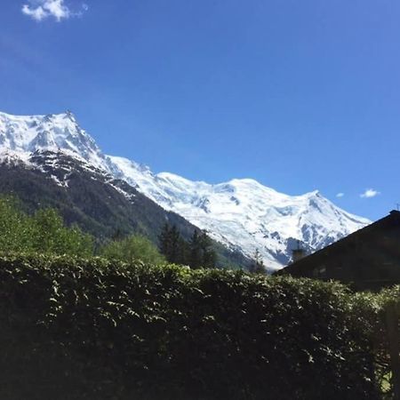 Studio Au Calme Avec Jardin Et Vue Mont-Blanc Chamonix Exteriér fotografie