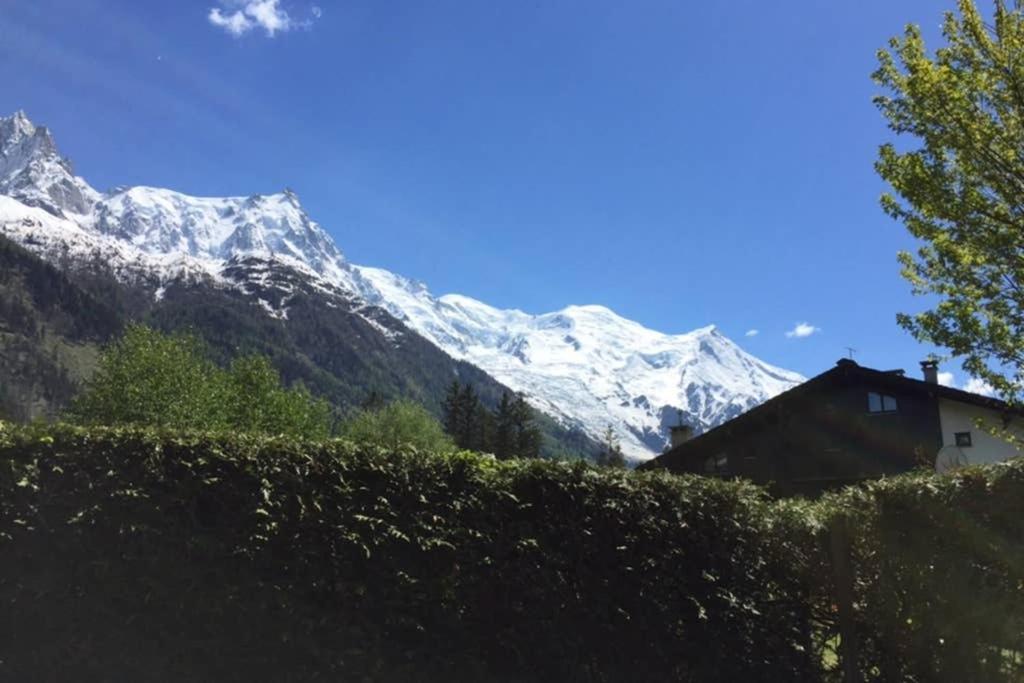Studio Au Calme Avec Jardin Et Vue Mont-Blanc Chamonix Exteriér fotografie