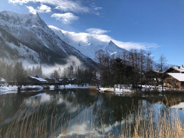 Studio Au Calme Avec Jardin Et Vue Mont-Blanc Chamonix Exteriér fotografie
